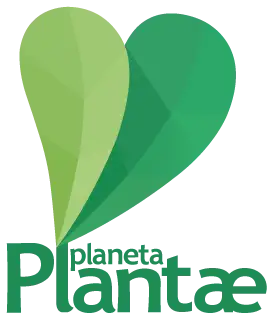 Logotipo vertical Planeta Plantae