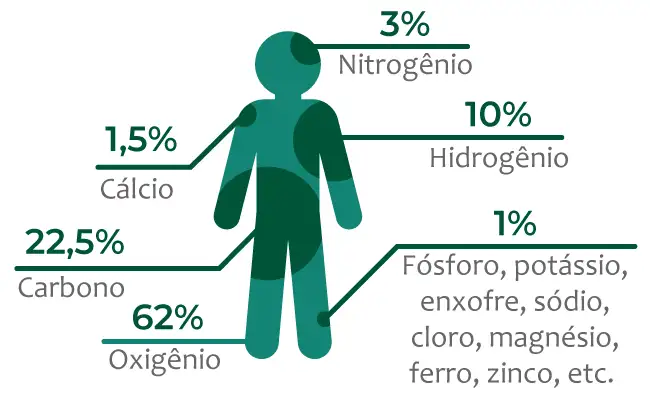 Elementos químicos do corpo humano