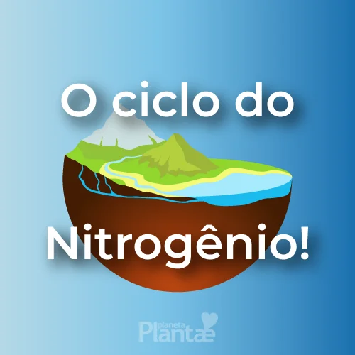 Ciclo do Nitrogênio